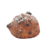 Oliebol met krenten